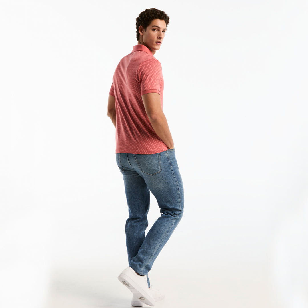 Rosa 5