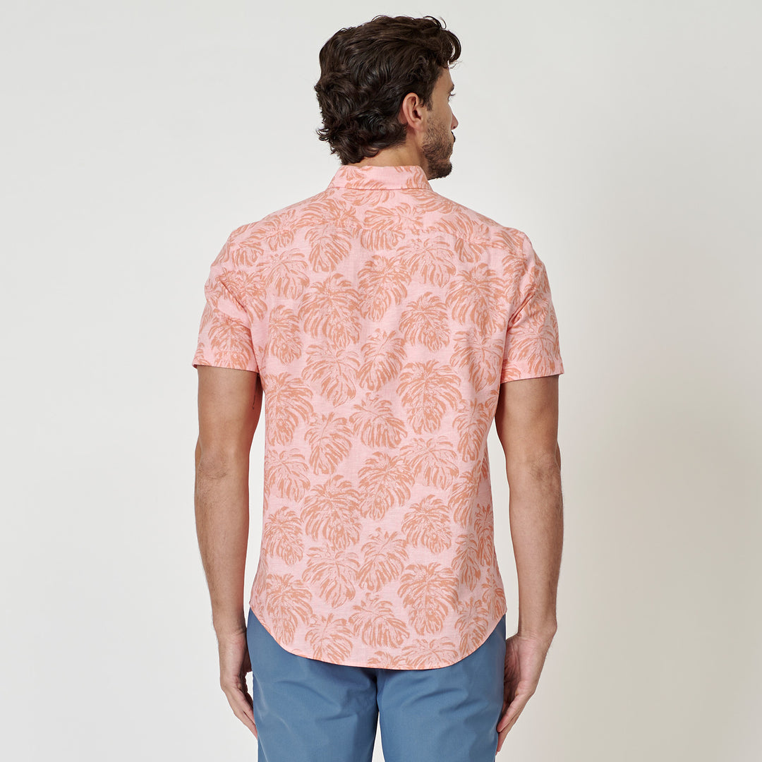 Camisa Manga Corta De Algodón Full Print Monstera