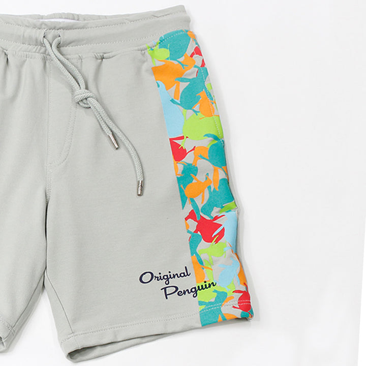 Shorts Con Pingüino Estampado