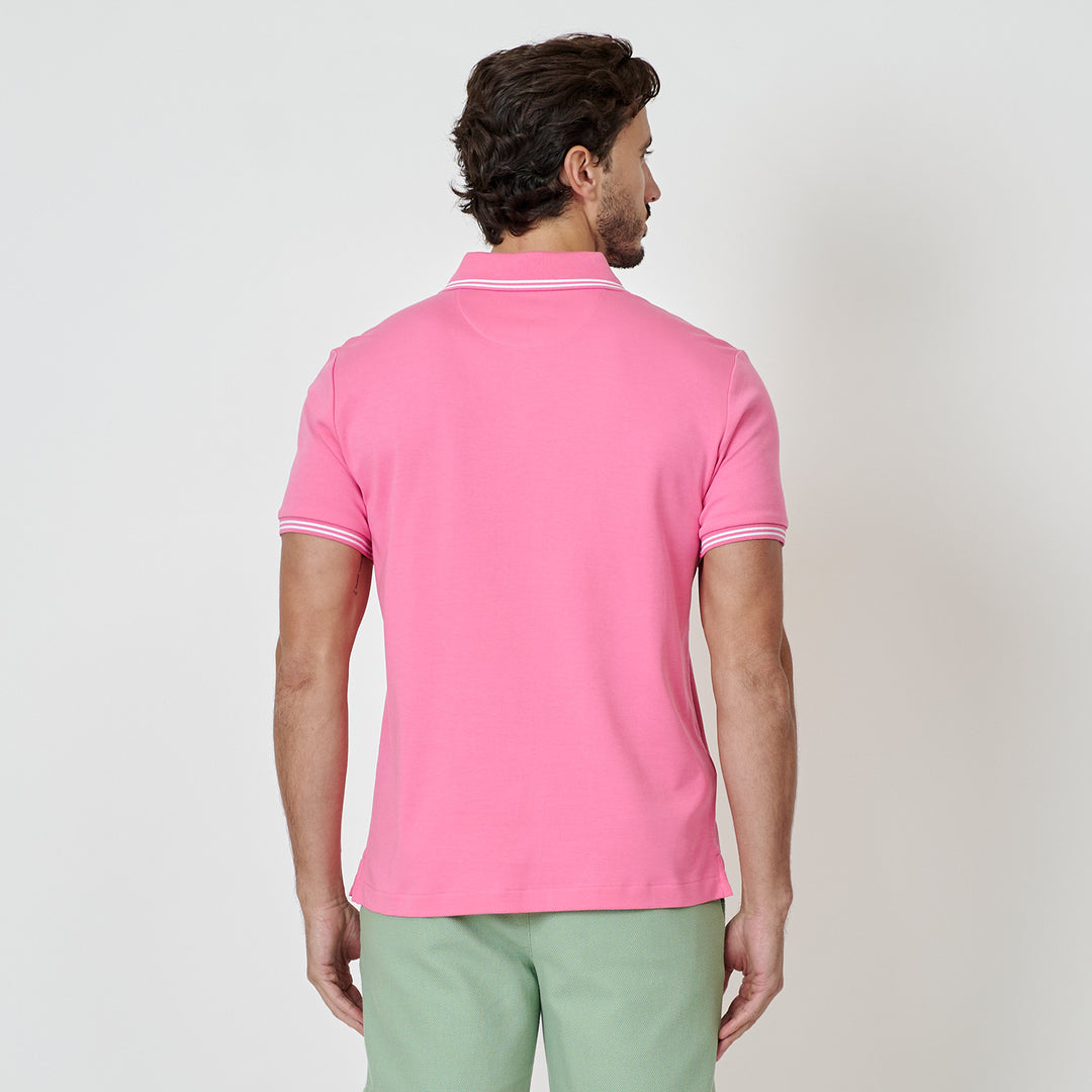 Rosa 3
