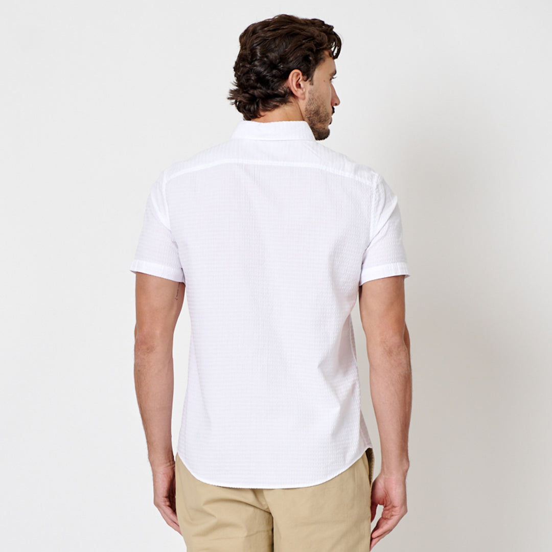 Blanco 3